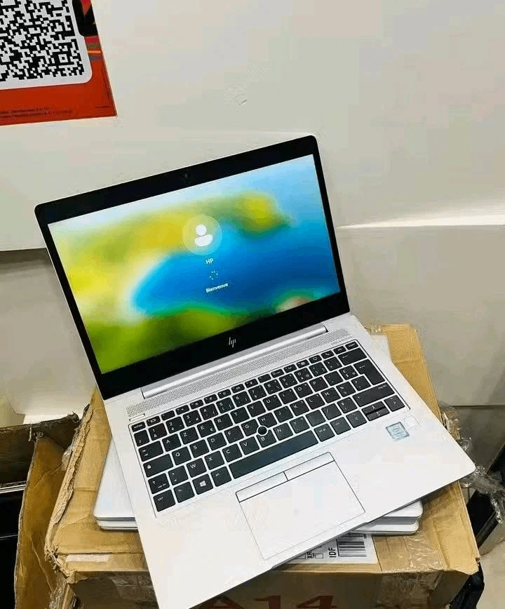 Ordinateur Portable HP Argent