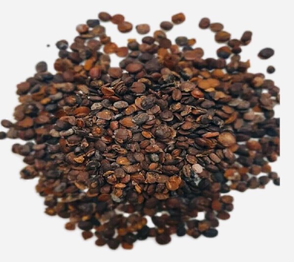 Soumara ,kankankan assaisonné