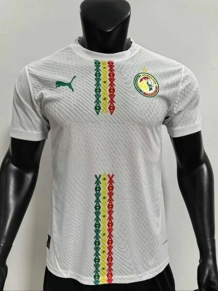 Maillot Sénégal Puma 2025