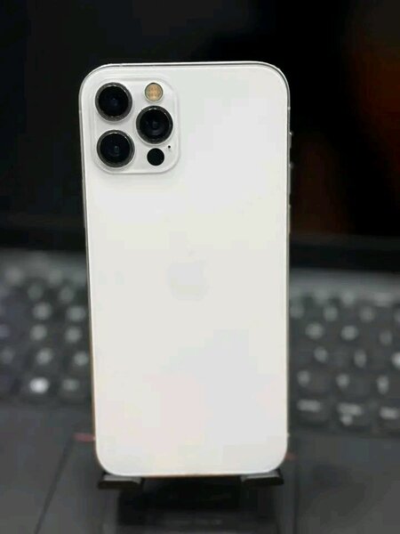iPhone 13 Pro Max Blanc