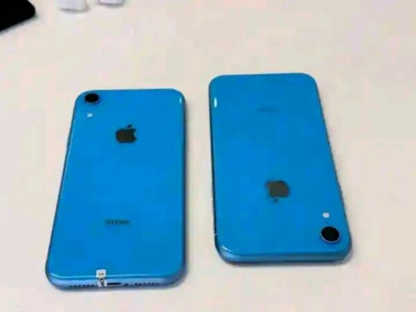 iPhone XR Bleu