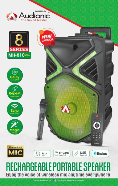 Audinic  MEHFIL MH-810