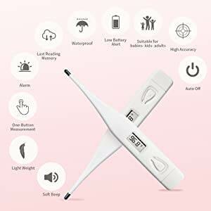 Thermomètre numérique