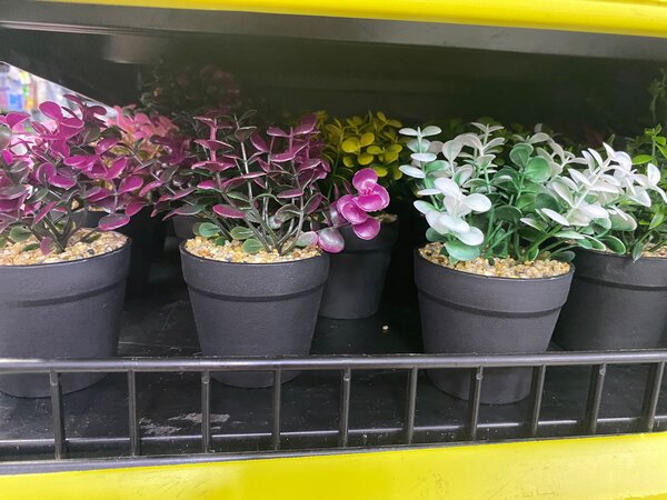 Plantes artificielles décoratives