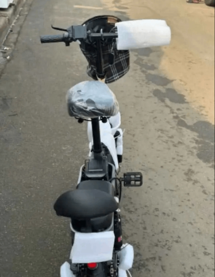 Vélo Électrique Pliant Compact