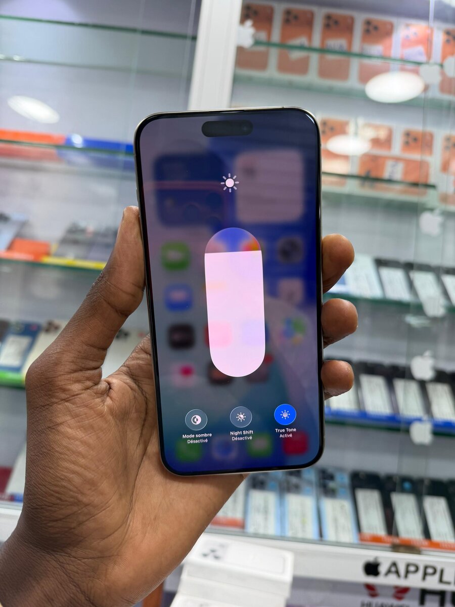 Disponible 15 Pro Max 256go CE