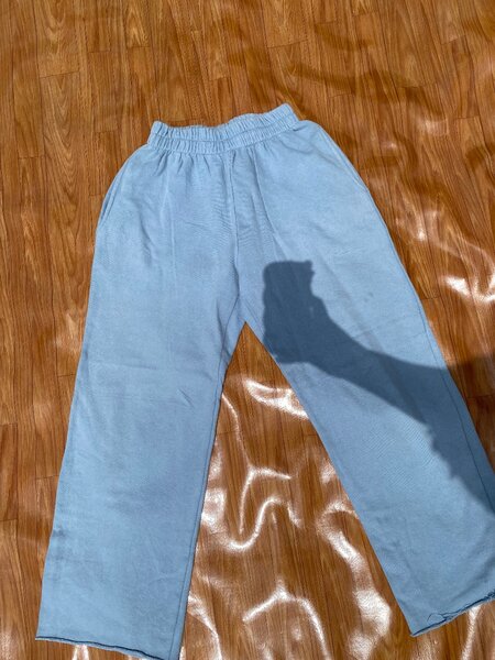 Light blue jogger