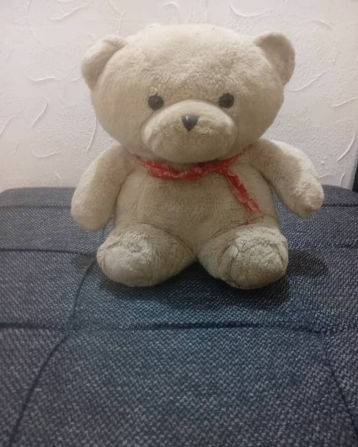 Ours en peluche doux