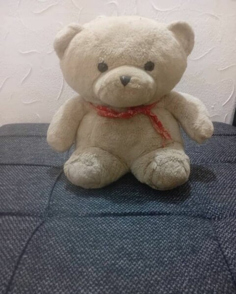 Ours en peluche doux