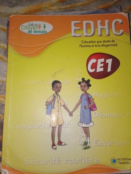 Lot de manuels scolaires CE1 et CM1