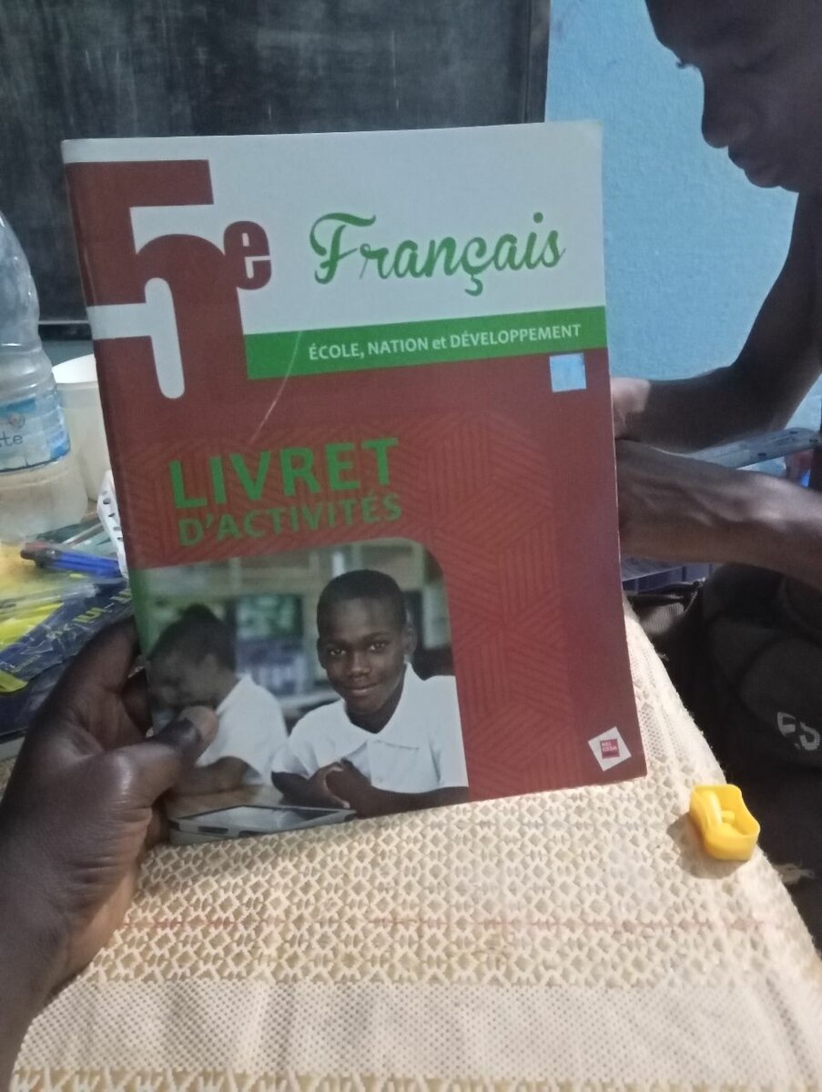 Livre d'Activités Français