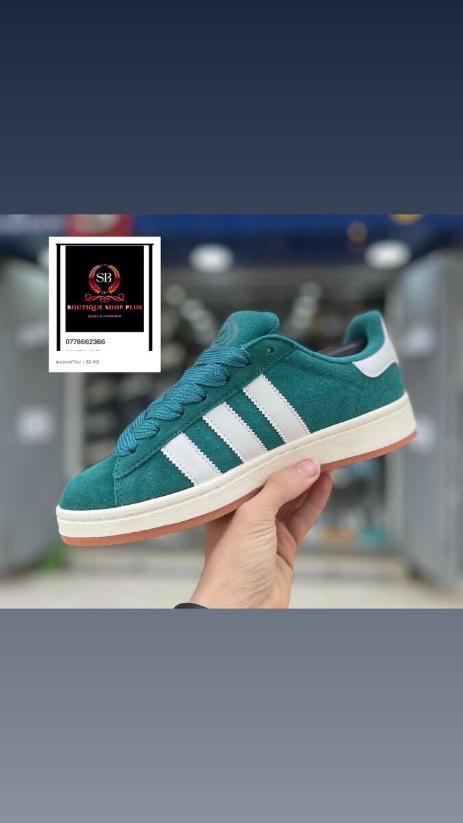 Basket adidas campus authentique avec sa boîte