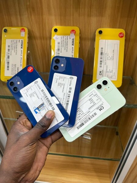 iPhone 11 - Variété de couleurs