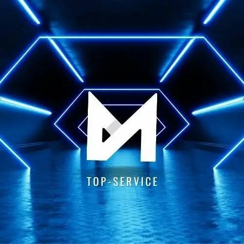 TOP-SERVICE 