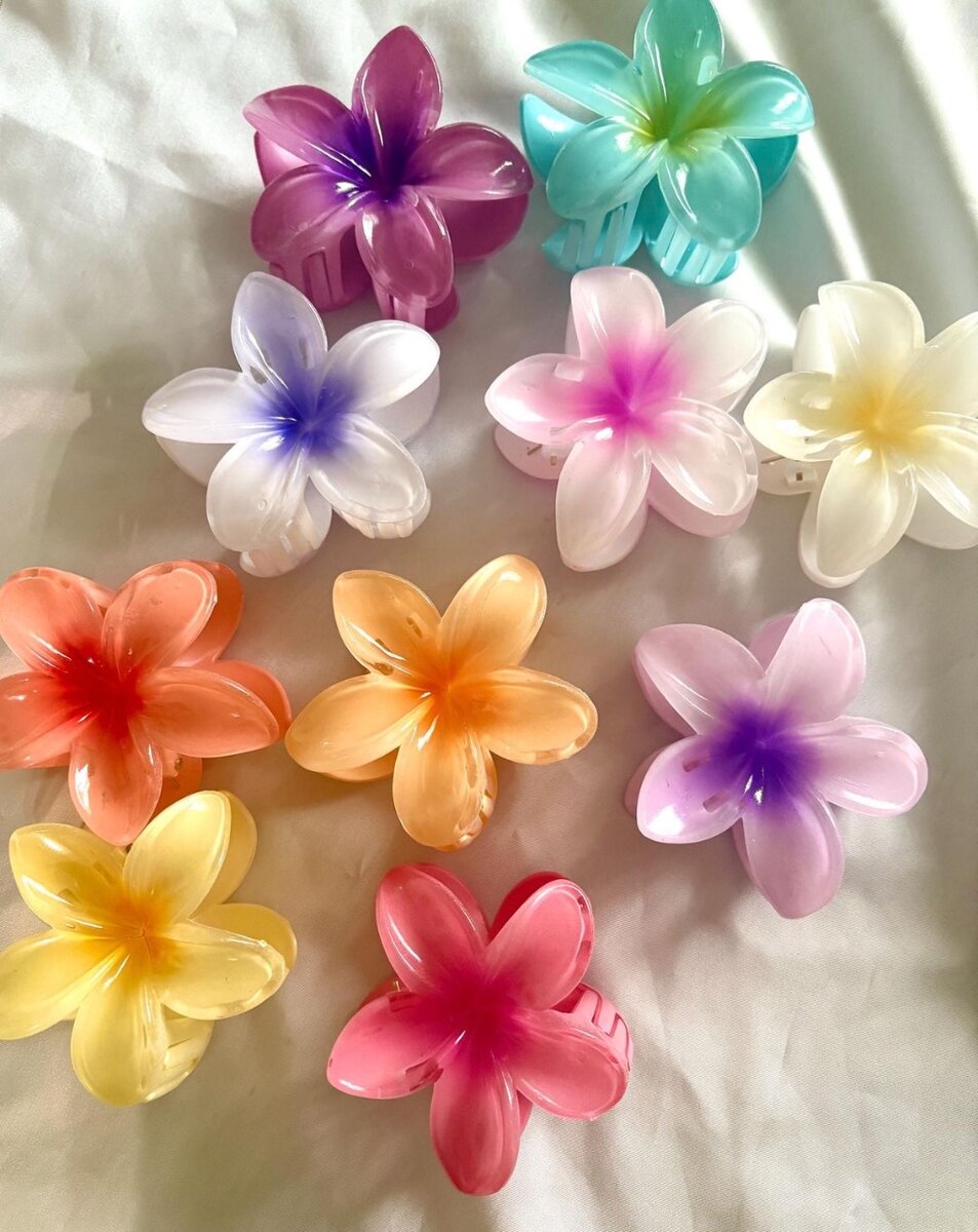 Pinces à cheveux fleurs colorées