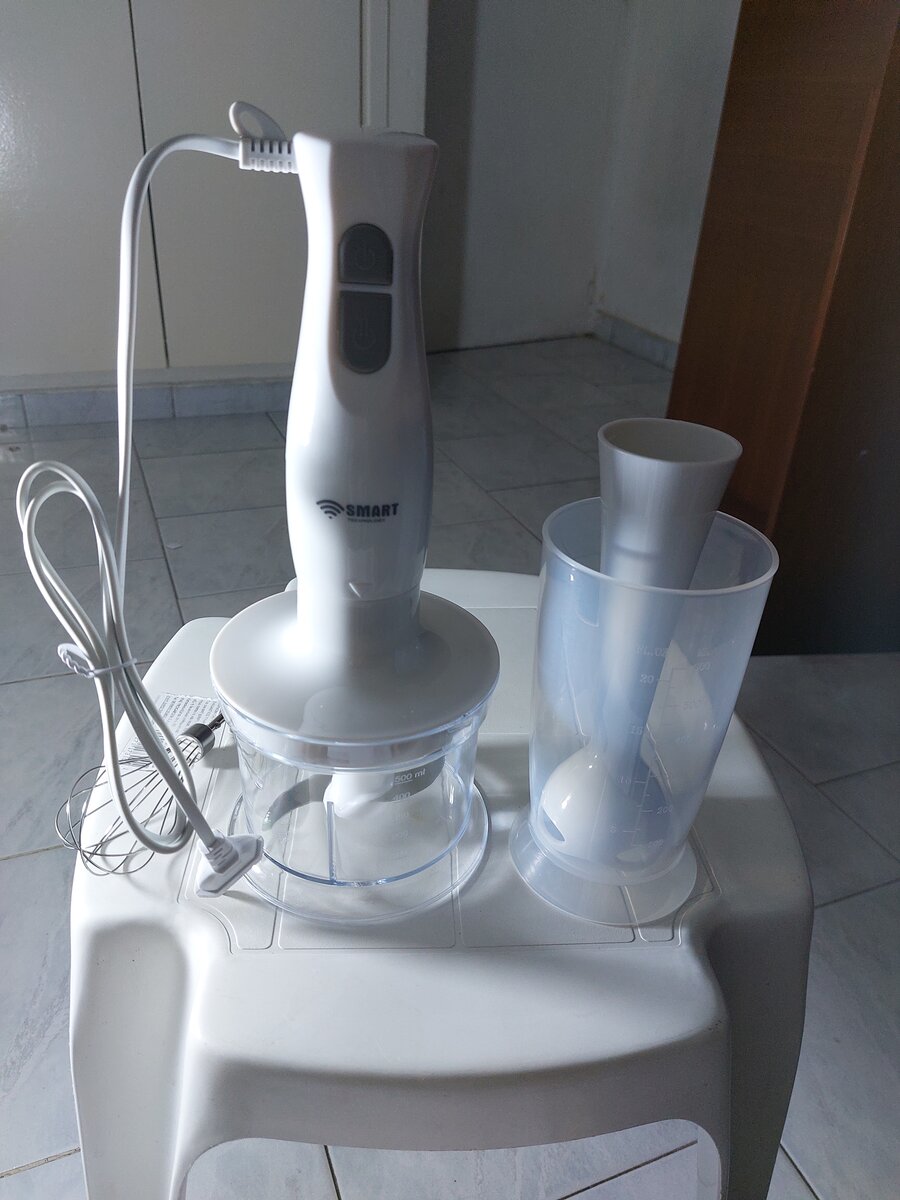 Mixeur plongeant 300W Smart