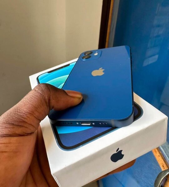 iPhone 12 Bleu Neuf