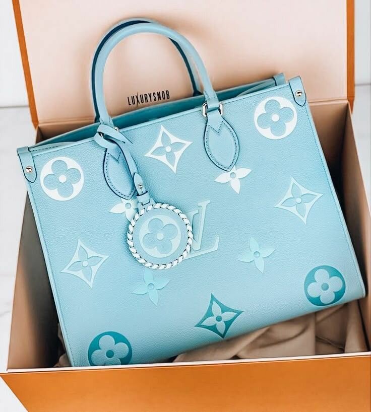 Ladies bag (Louis Vuitton)