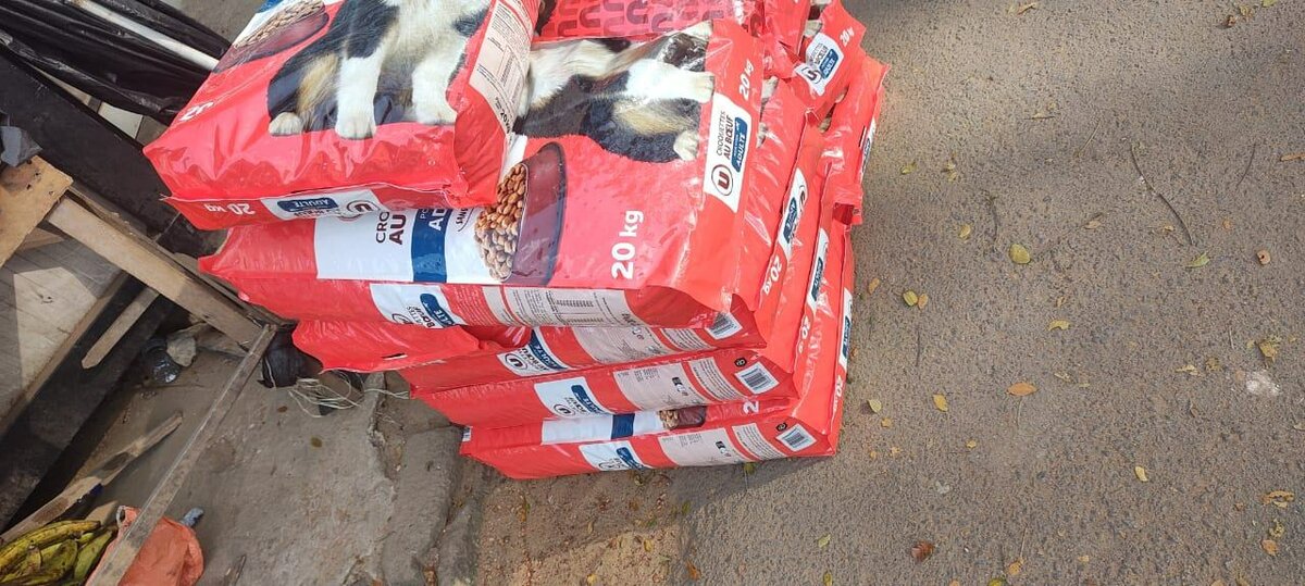 Croquettes au boeuf pour chien adulte