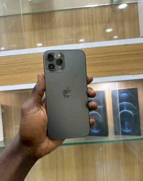 iPhone 12 Pro Max Gris