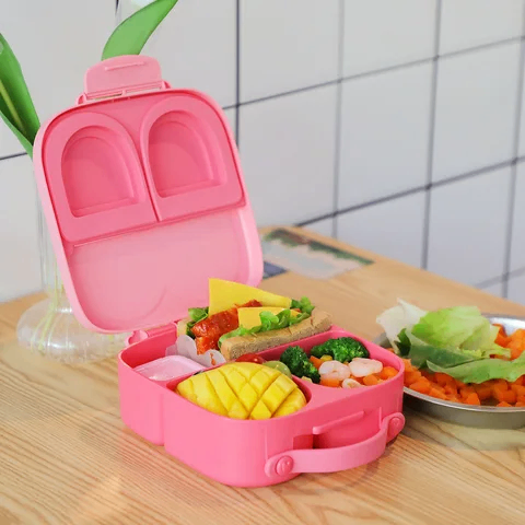 Kids school lunch / bento box