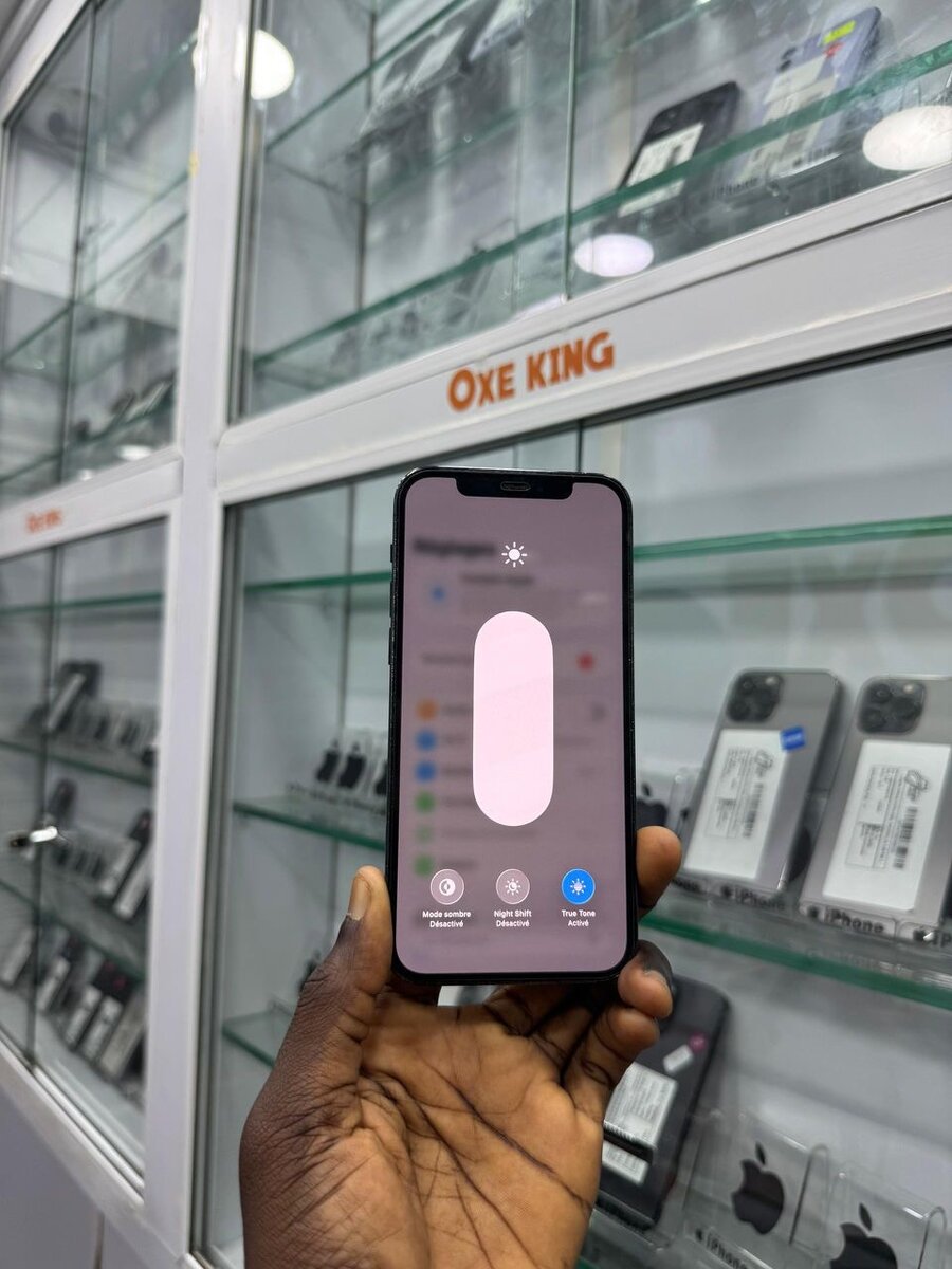 iPhone 12 Pro Max Bleu