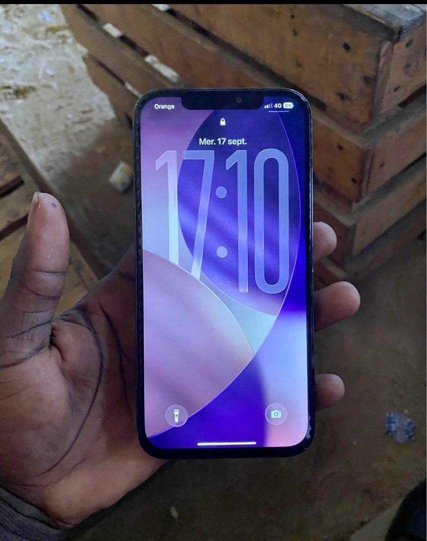 iPhone 12 Pro Max 256GB