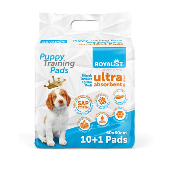 Tapis d'entraînement pour chiots