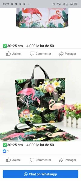 Sac emballages plastique lot de 50