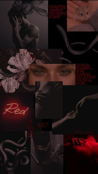 Lakestone Tome 2 Roman EBOOK