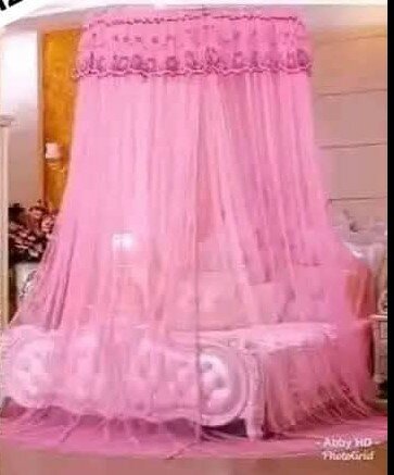 Beautiful translucent canopy for a bed double 