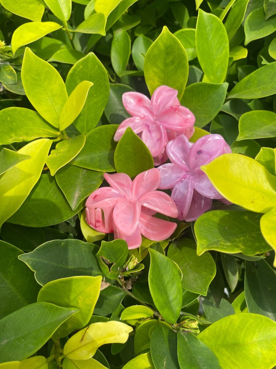 Épingles à cheveux fleuries