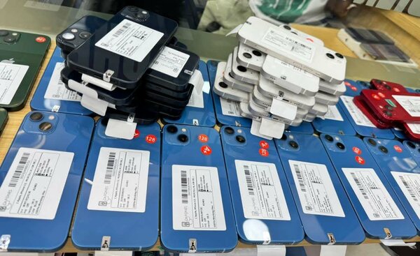 iPhone 13 - Couleurs variées