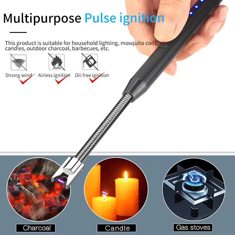Electronic pulse igniter