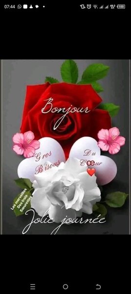 KM & CY RENAISSANCED