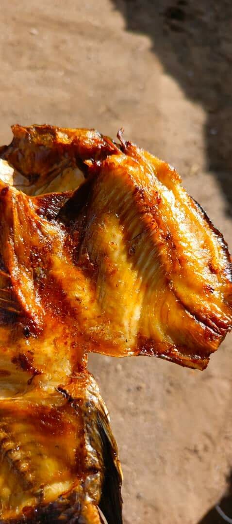 Semi dry Moto moya fish