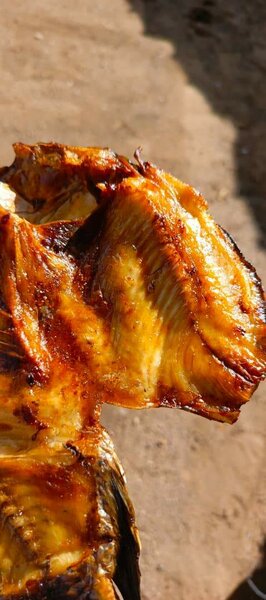 Semi dry Moto moya fish