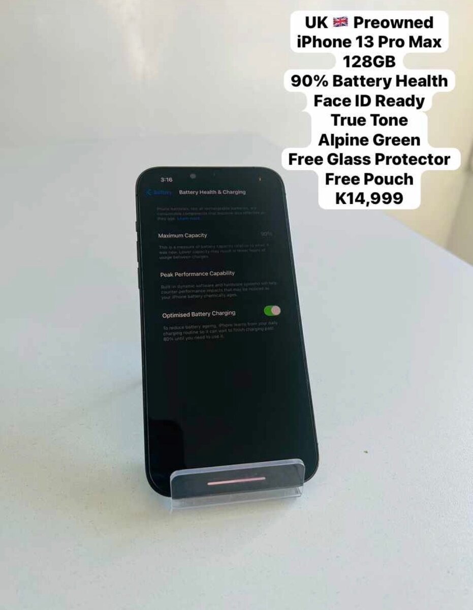 iPhone 13 Pro Max Alpine Green