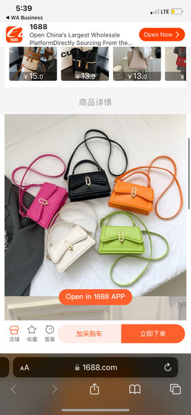 Ladies bags