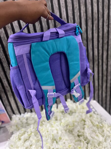 Sacs au dos