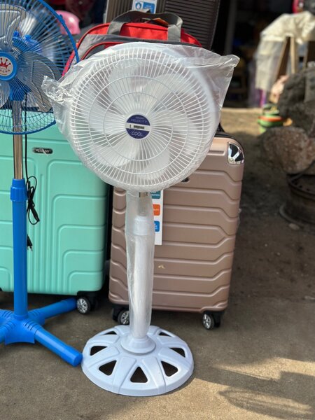 Ventilateur longchant blanc kirikou