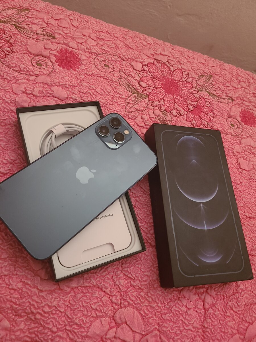 iPhone 12 Pro Max 256GB