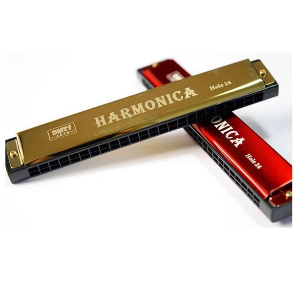 Harmonica 24 Trous Pro