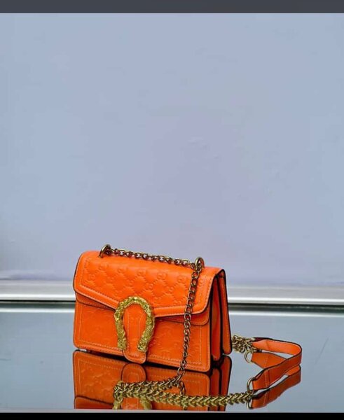 Ladies bag