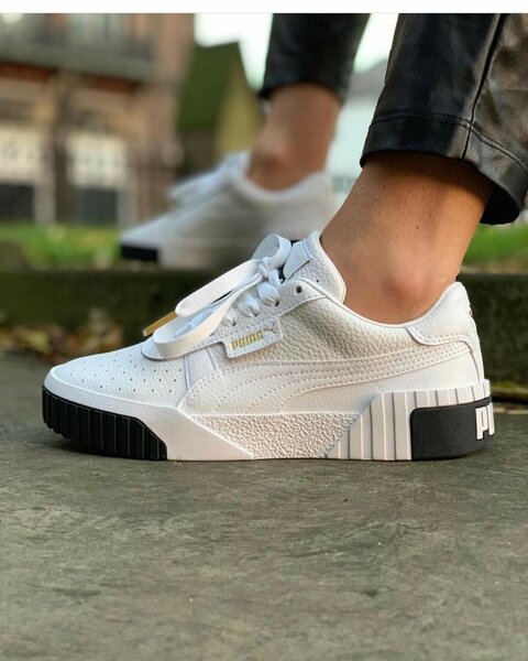 Puma cali