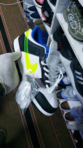 Nike sb