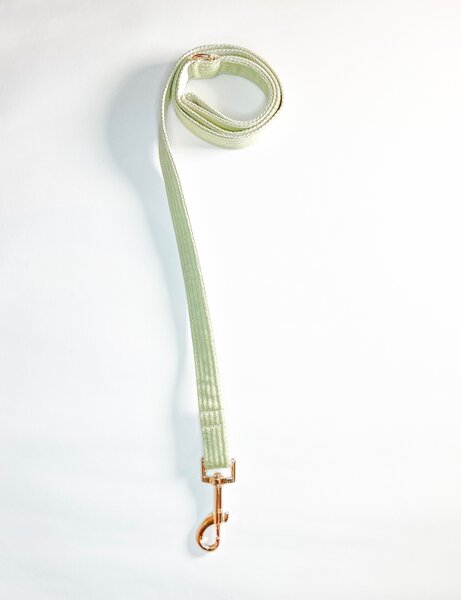 Harness Walk Set for dogs ( Fruit Green)