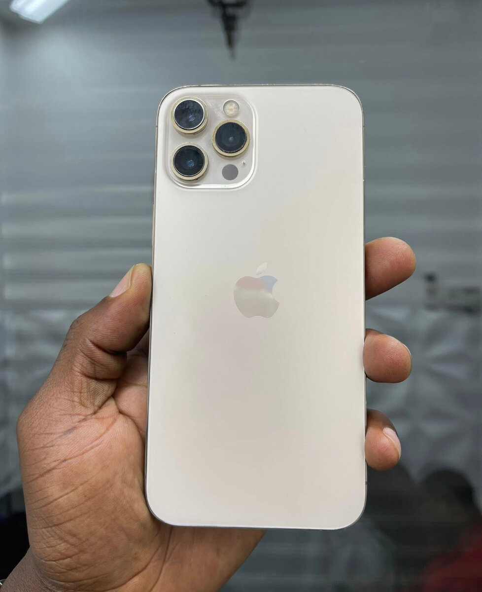 iPhone 13 Pro Max 256 Go