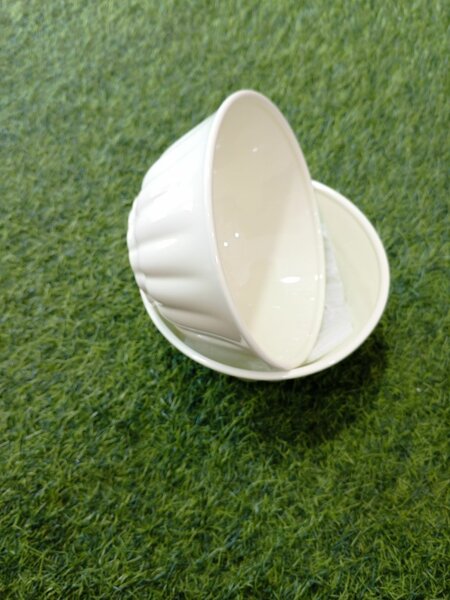 2 pieces ceramic bowl