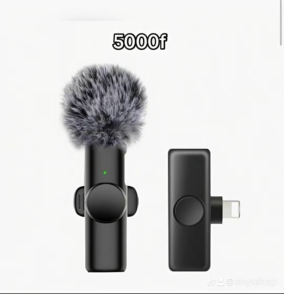 Microphone sans fil portable